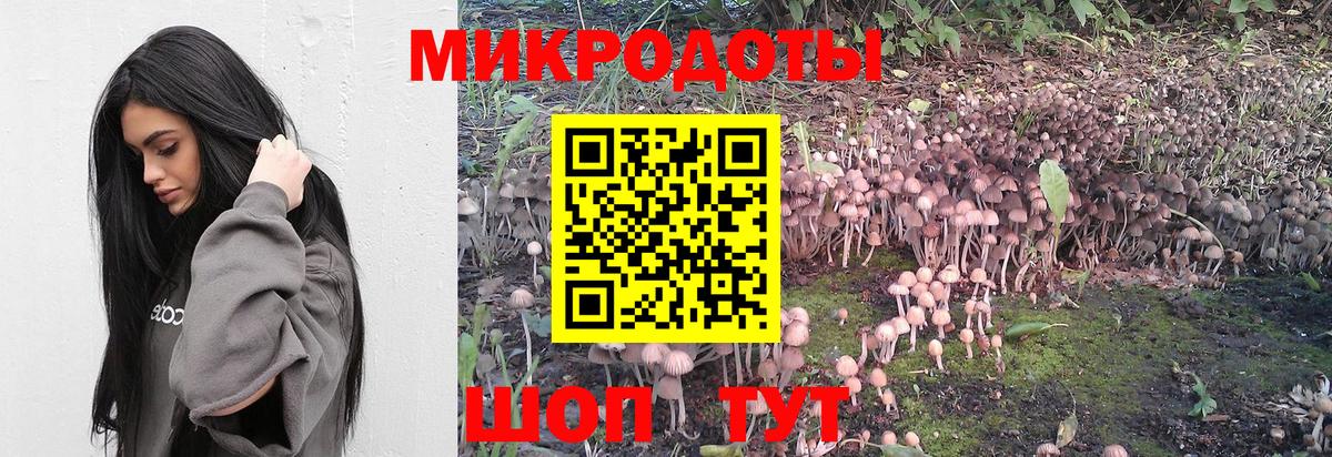 где купить наркоту  Галлюциногенные грибы Magic Shrooms  Нефтекамск  Вход с VPN  Галлюциногенные грибы Cubensis 